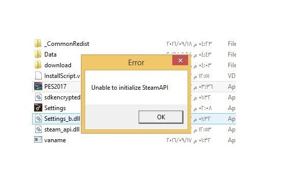 fail to initialize steam api